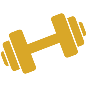 Dumbbell icon