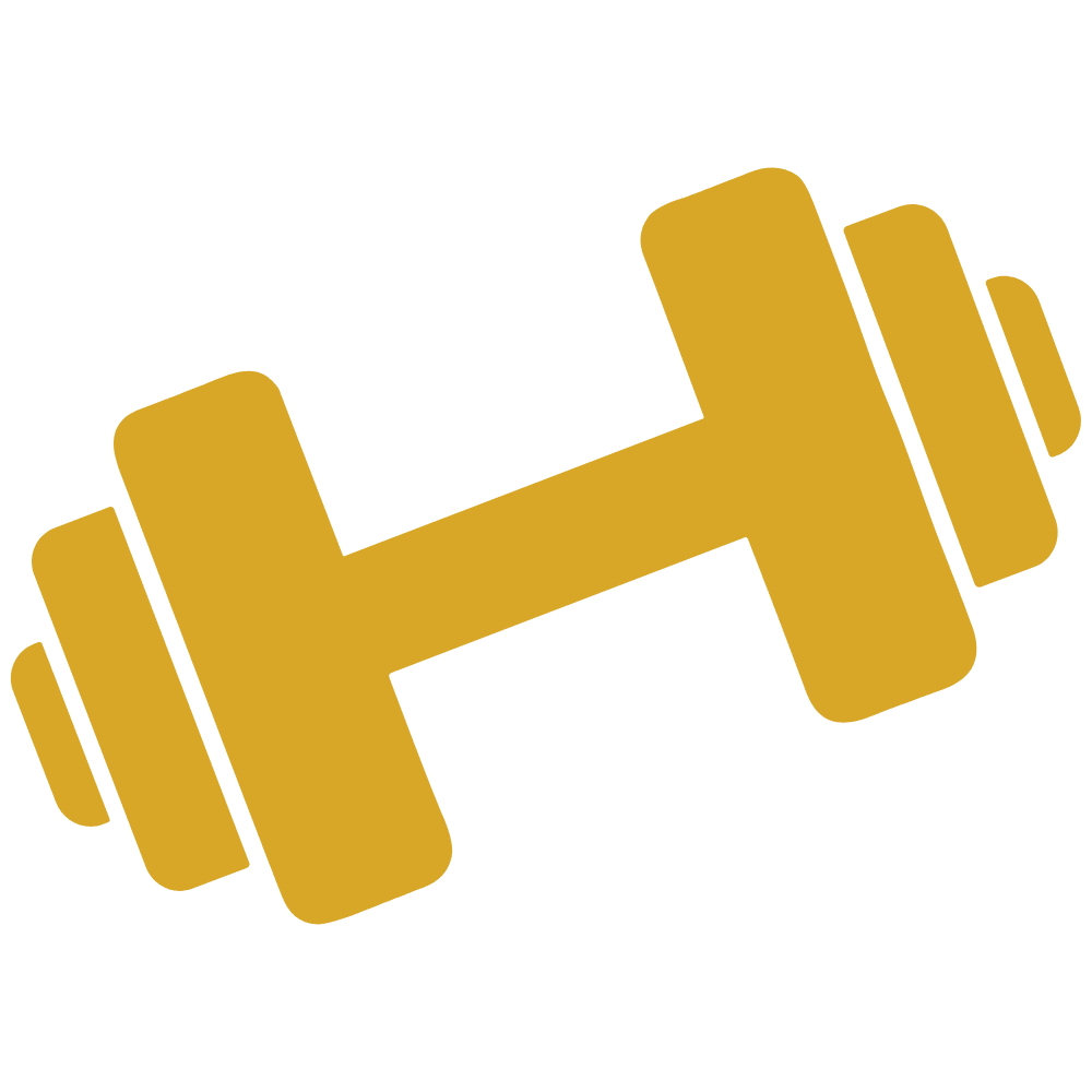 Dumbbell icon